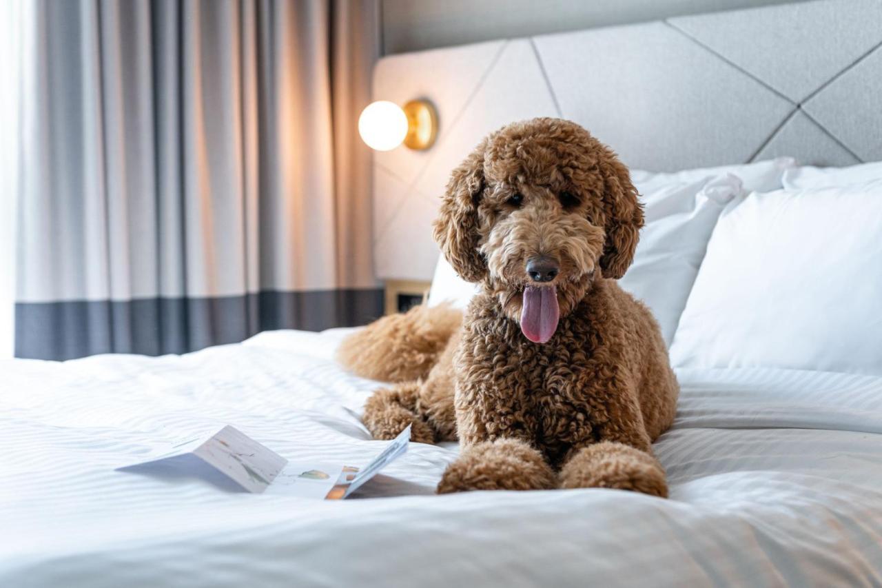 Residence Inn By Marriott Slough Bagian luar foto